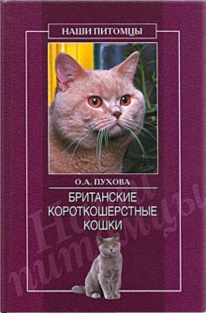 Олеся Пухова — Британские короткошерстные кошки
