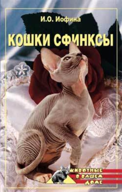 Дарья Нестерова — Кошки – сфинксы