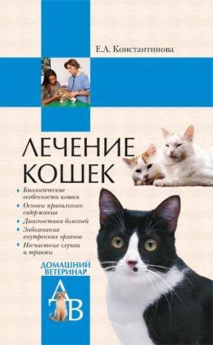 Екатерина Константинова — Лечение кошек