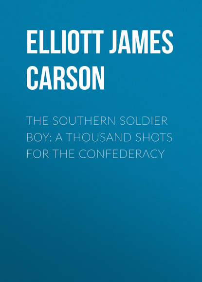 The Southern Soldier Boy: A Thousand Shots for the Confederacy (Elliott James Carson). 