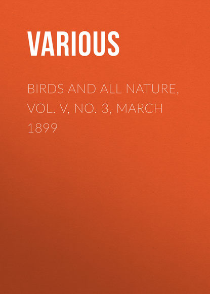 Various — Birds and All Nature, Vol. V, No. 3, March 1899