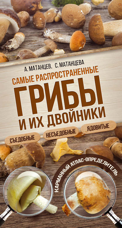 Александр Матанцев — Самые распространенные грибы и их двойники съедобные, несъедобные, ядовитые