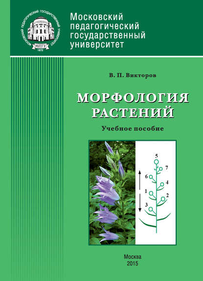 Морфология растений - В. П. Викторов