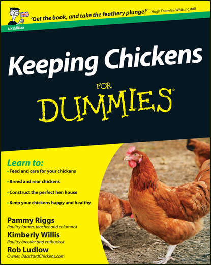 Pammy  Riggs - Keeping Chickens For Dummies