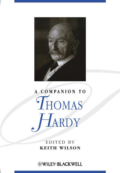 Keith  Wilson - A Companion to Thomas Hardy