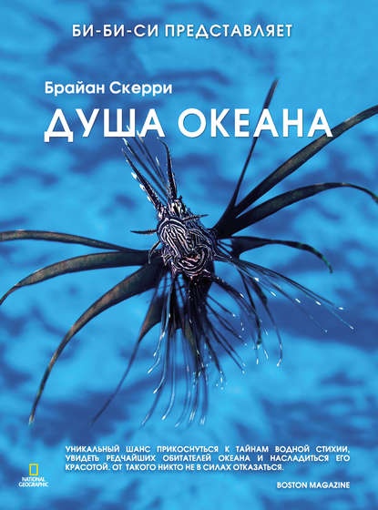 

Душа океана