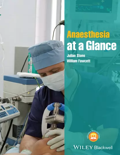 Обложка книги Anaesthesia at a Glance, Fawcett William