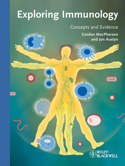 Exploring Immunology. Concepts and Evidence (MacPherson Gordon). 