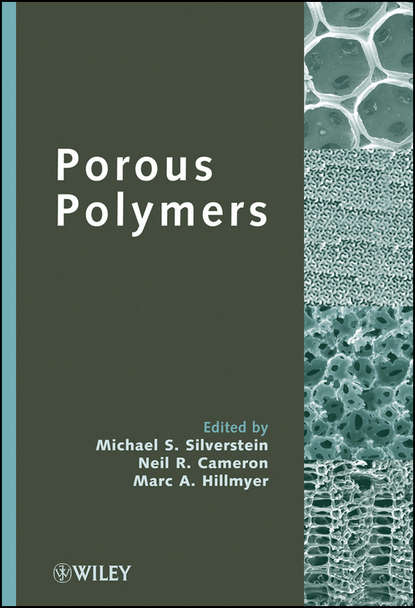 Группа авторов - Porous Polymers