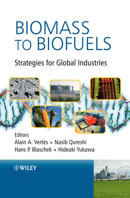 Группа авторов - Biomass to Biofuels