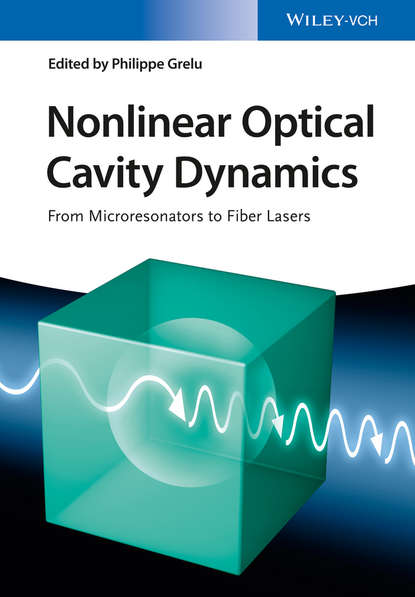 Группа авторов - Nonlinear Optical Cavity Dynamics