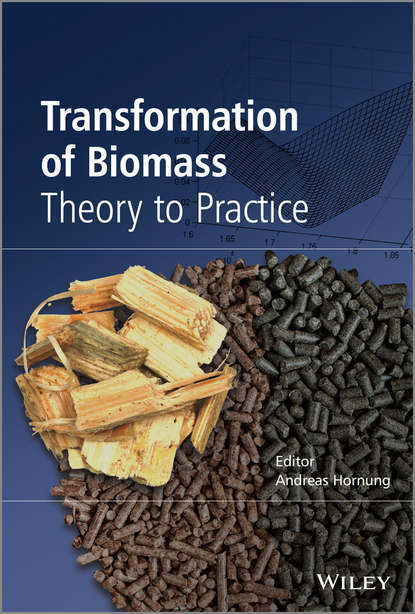 Andreas Hornung - Transformation of Biomass