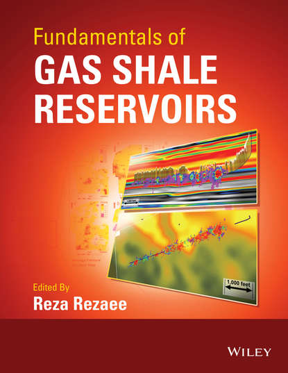 Группа авторов - Fundamentals of Gas Shale Reservoirs