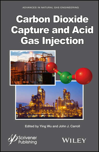 Группа авторов - Carbon Dioxide Capture and Acid Gas Injection