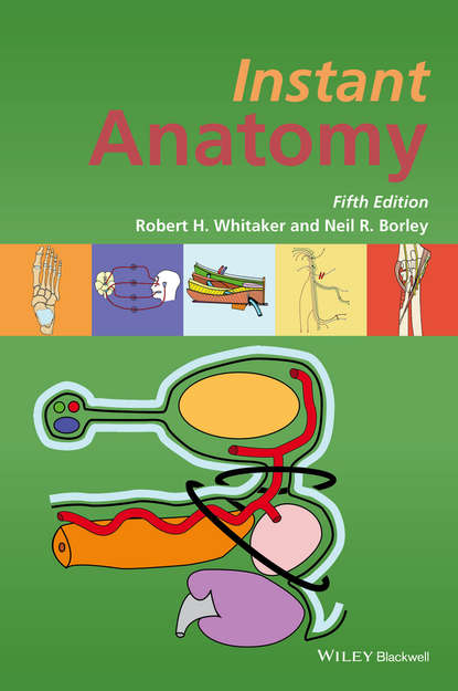 Instant Anatomy - Neil R. Borley