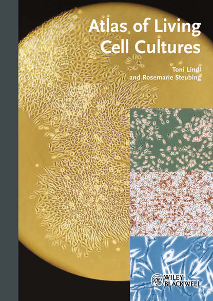 Toni Lindl - Atlas of Living Cell Cultures