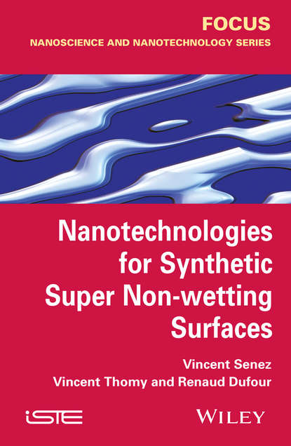 Vincent Senez - Nanotechnologies for Synthetic Super Non-wetting Surfaces