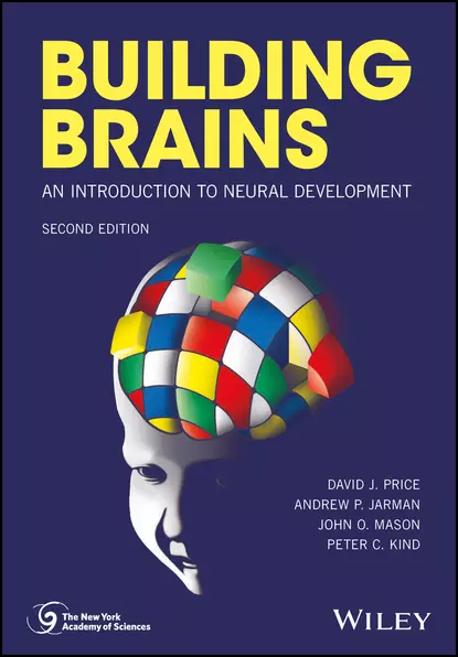 Обложка книги Building Brains, David J. Price