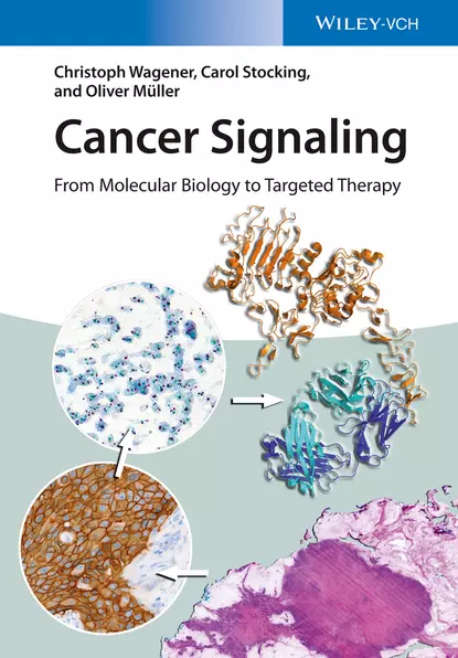 Обложка книги Cancer Signaling, Enhanced Edition, Oliver Müller