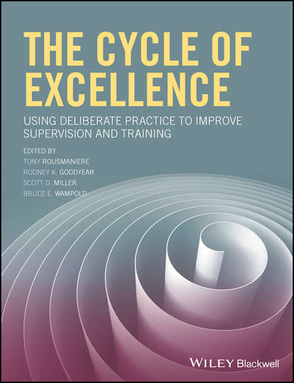 The Cycle of Excellence - Группа авторов