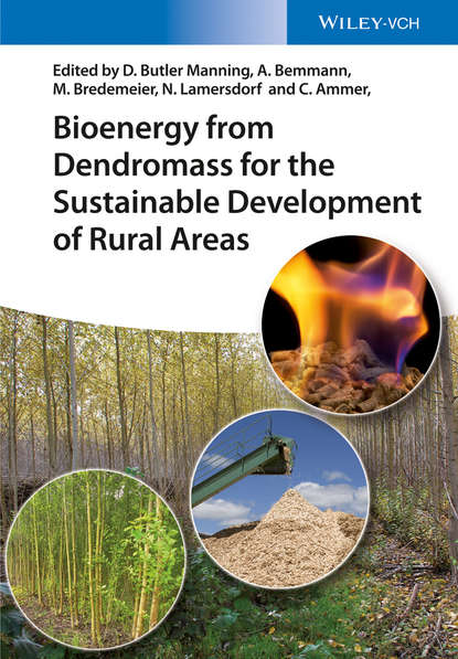 Группа авторов - Bioenergy from Dendromass for the Sustainable Development of Rural Areas
