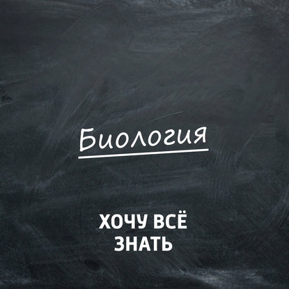

Зачем мы чихаем, кашляем, икаем и зеваем