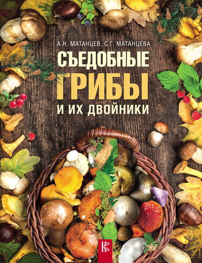 Александр Матанцев — Съедобные грибы и их двойники