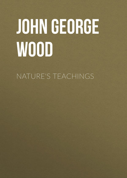 John George Wood — Nature's Teachings