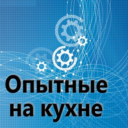 

Опытные на кухне №091