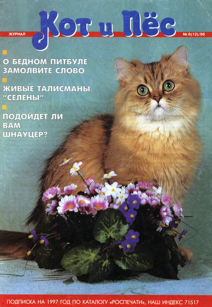 Группа авторов — Кот и Пёс №06/1996