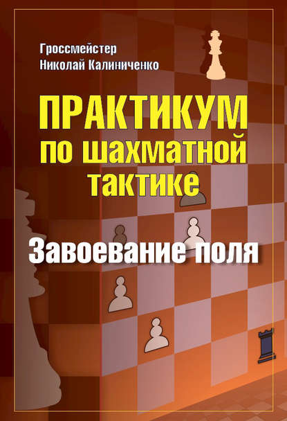 Николай Калиниченко — Практикум по шахматной тактике. Завоевание поля