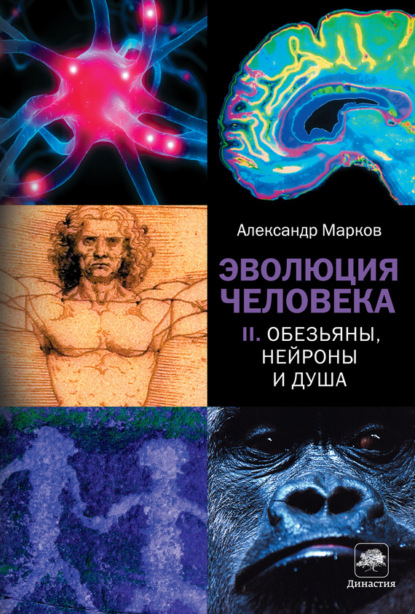 Александр Марков — Обезьяны, нейроны и душа