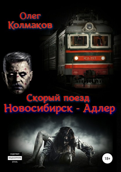 Олег Колмаков — Скорый поезд «Новосибирск – Адлер»
