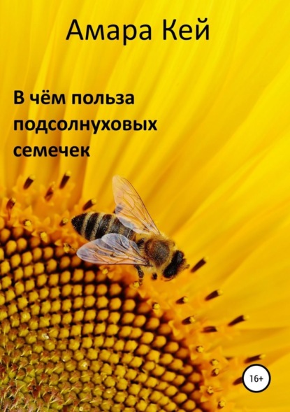 

В чём польза подсолнуховых семечек