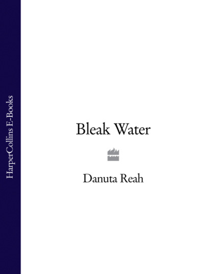 Danuta  Reah - Bleak Water