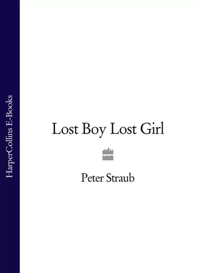 Обложка книги Lost Boy Lost Girl, Peter  Straub