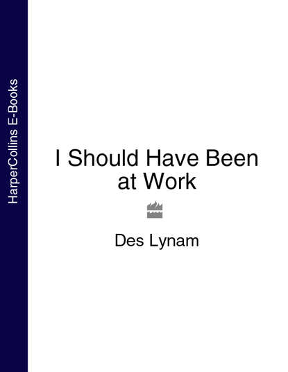 I Should Have Been at Work - Des  Lynam