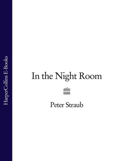 In the Night Room - Peter  Straub