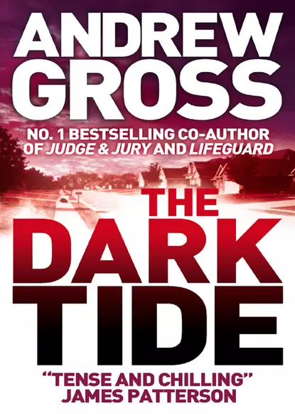 Обложка книги The Dark Tide, Andrew  Gross