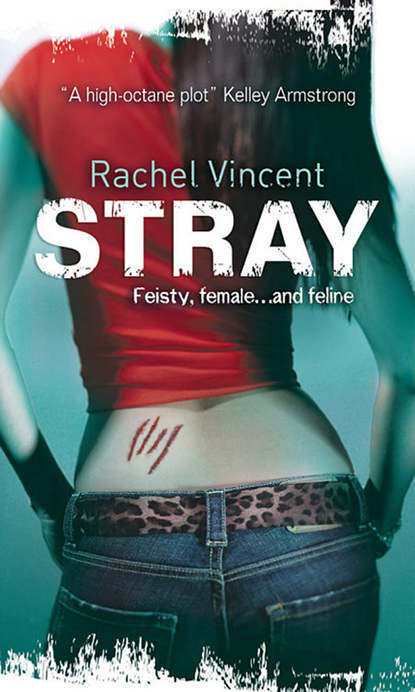Stray (Rachel  Vincent). 