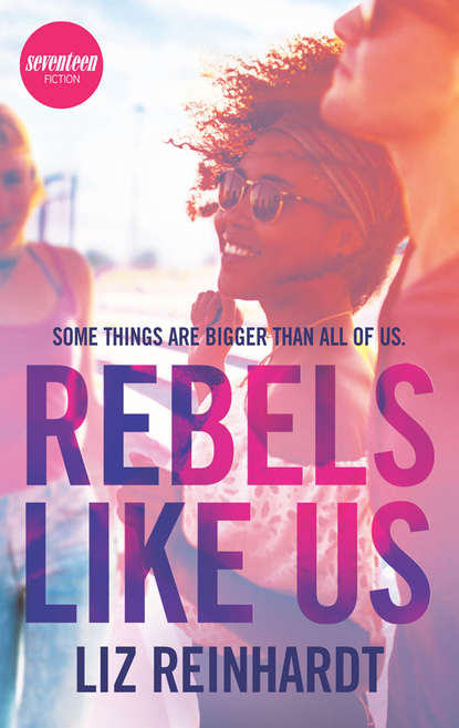 Rebels Like Us - Liz  Reinhardt