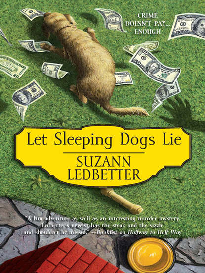 Suzann  Ledbetter - Let Sleeping Dogs Lie