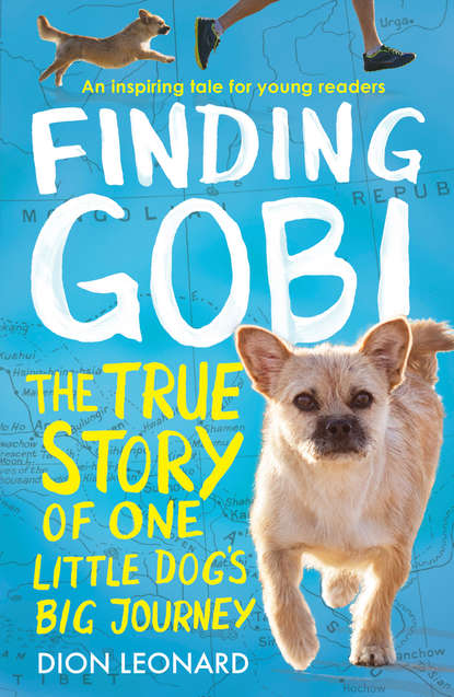 Finding Gobi: The true story of one little dogs big journey