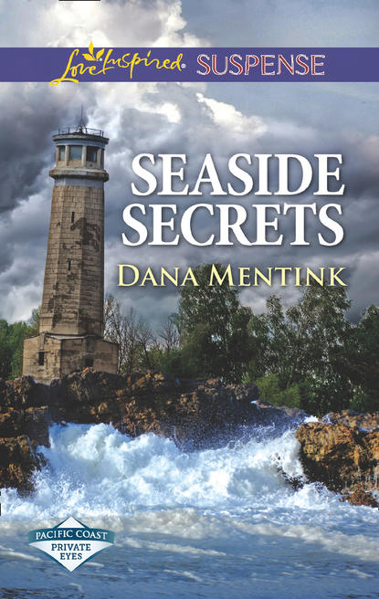 Seaside Secrets (Dana  Mentink). 