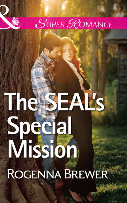 The SEAL's Special Mission