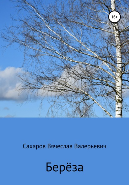 Вячеслав Валерьевич Сахаров — Берёза