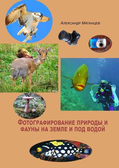 Александр Матанцев — Фотографирование природы и фауны на земле и под водой