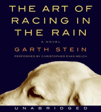 Garth  Stein - Art of Racing in the Rain