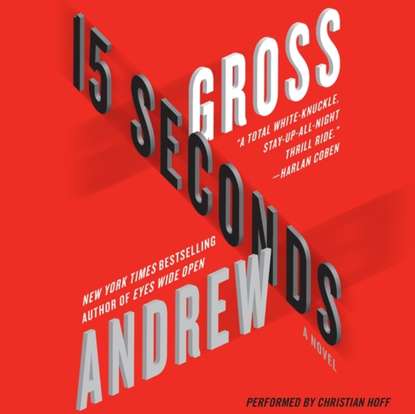 Andrew Gross - 15 Seconds