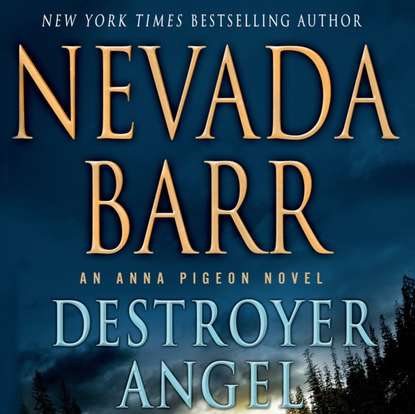 Nevada Barr — Destroyer Angel